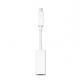 Apple Thunderbolt to FireWire Adapter